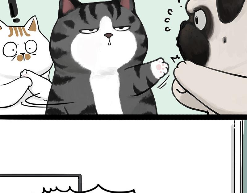 第409话 吾皇改名了？45