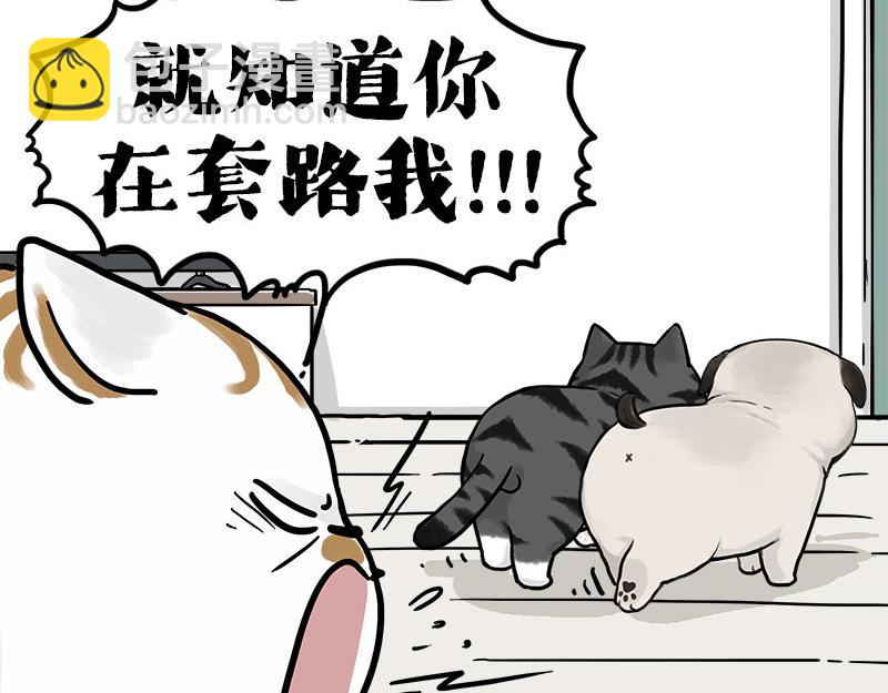 第409话 吾皇改名了？50