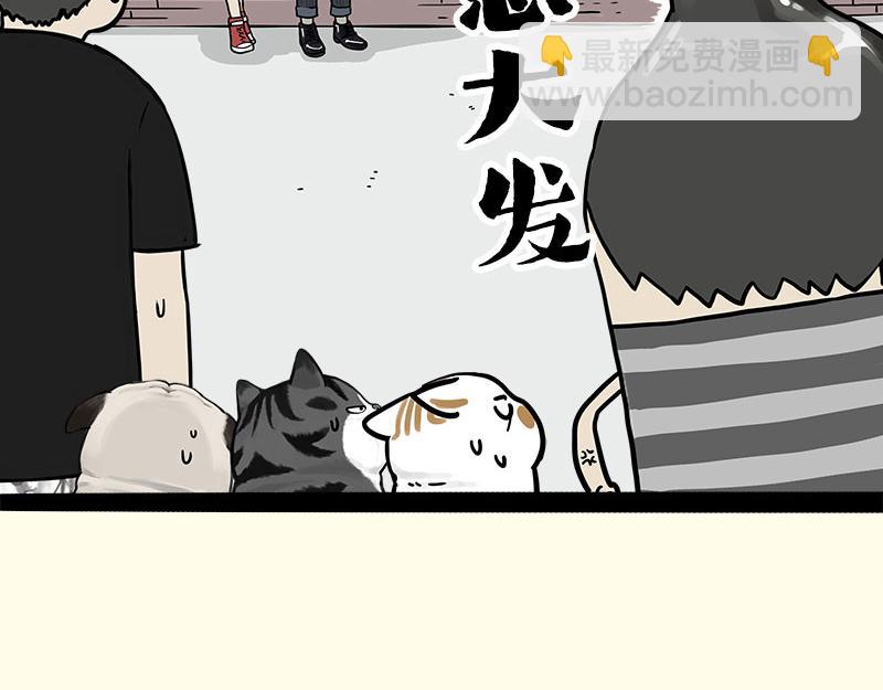 第410话 感情线大进展71