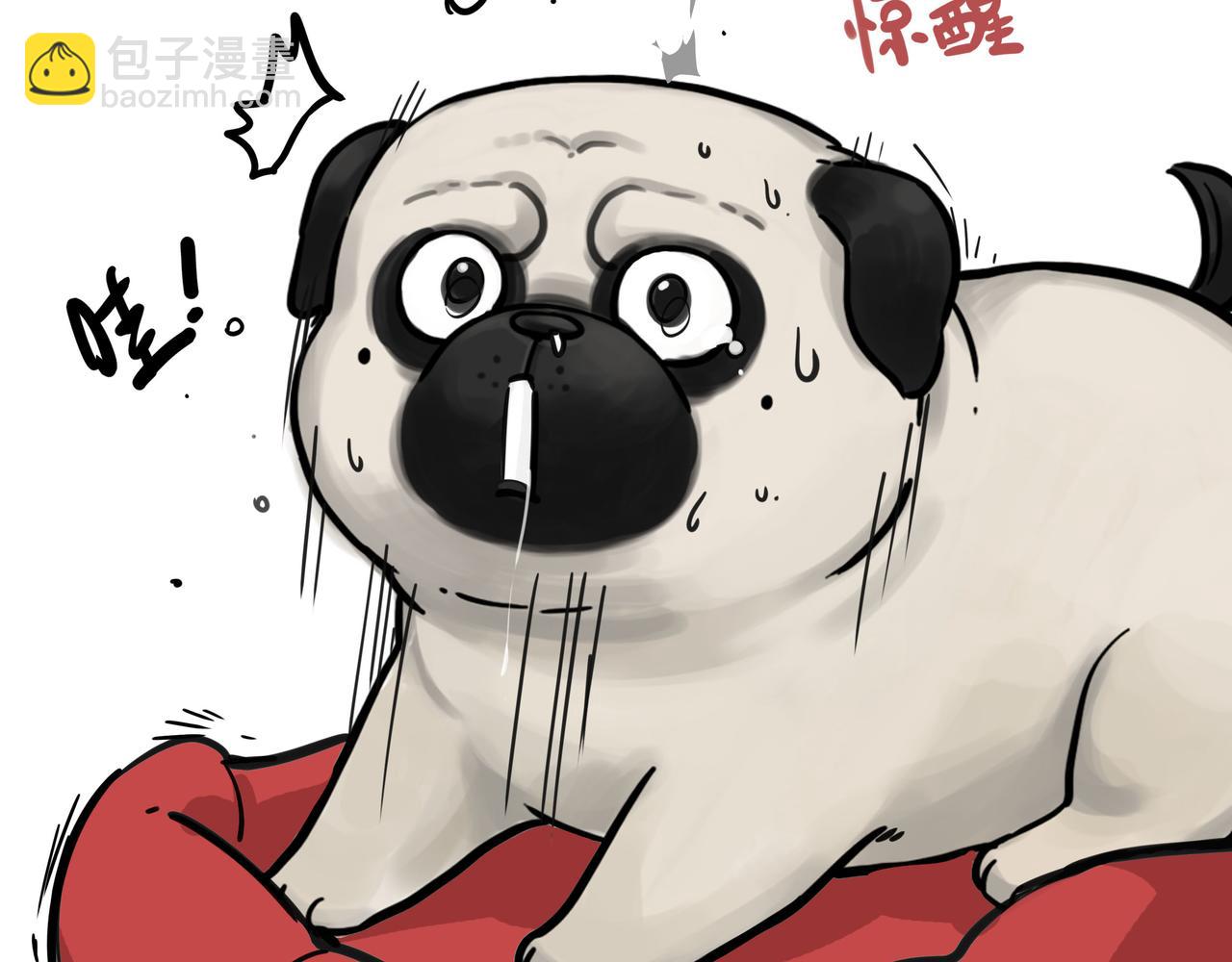 第411话 有人欢喜有人忧24