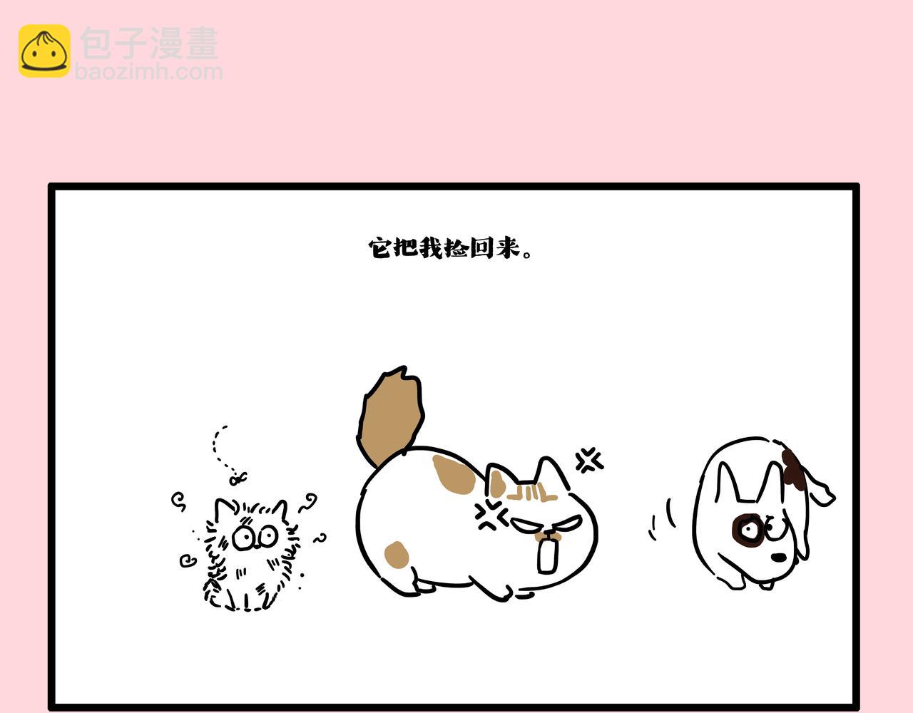 第413话 如果要离别...44