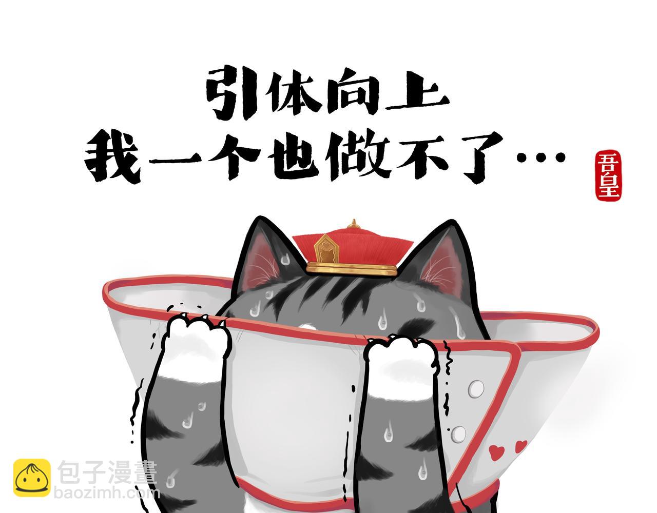 第416话 进圈12