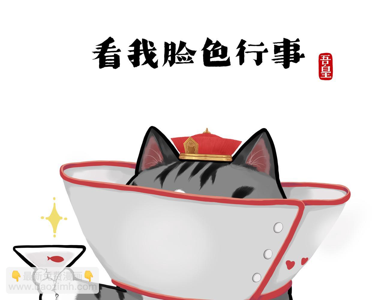 第416话 进圈6