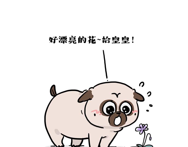 第417话 帅哥你谁28
