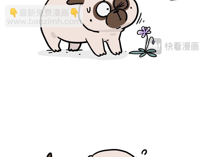 第417话 帅哥你谁30