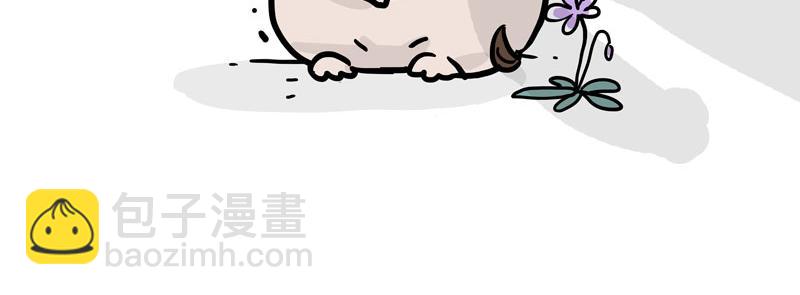 第417话 帅哥你谁33