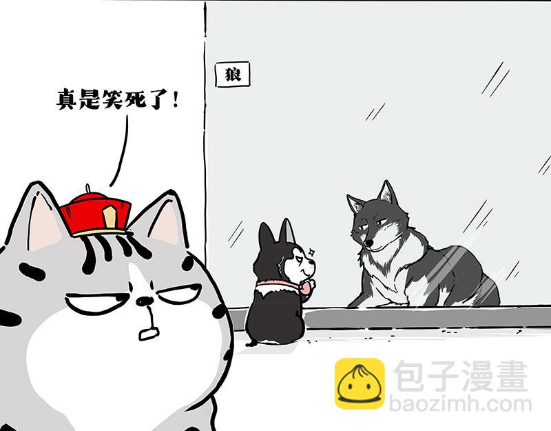 第419话 魔镜4