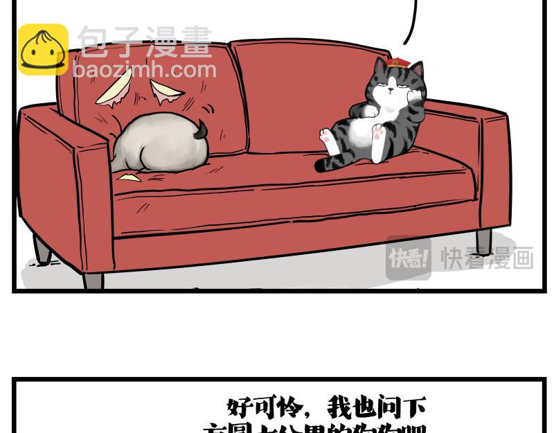 第423话 卡沙不拦卡12