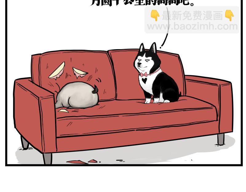 第423话 卡沙不拦卡13