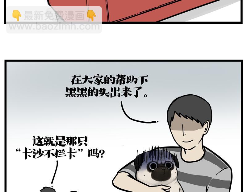 第423话 卡沙不拦卡17