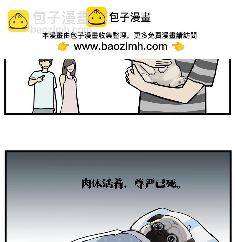第423话 卡沙不拦卡18