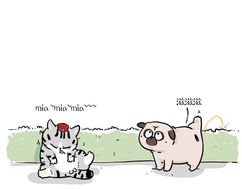 第424话 话痨小猫0