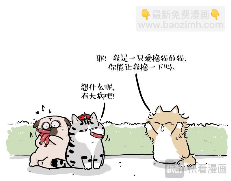 第424话 话痨小猫12