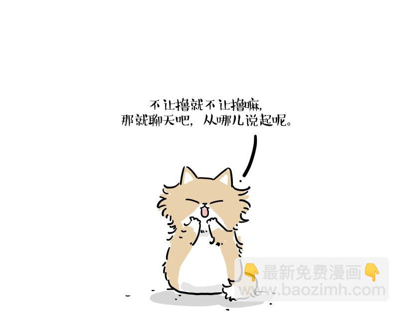 第424话 话痨小猫14