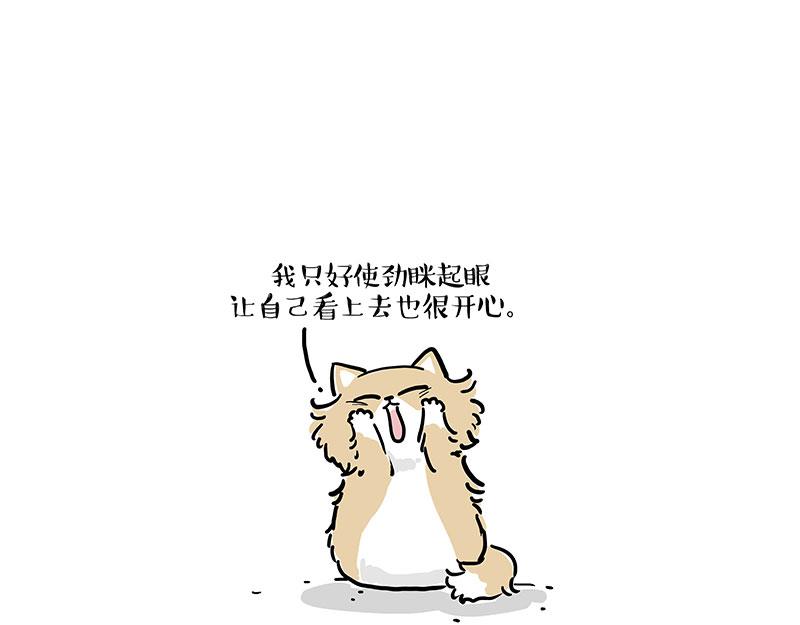 第424话 话痨小猫18