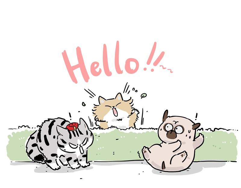 第424话 话痨小猫2
