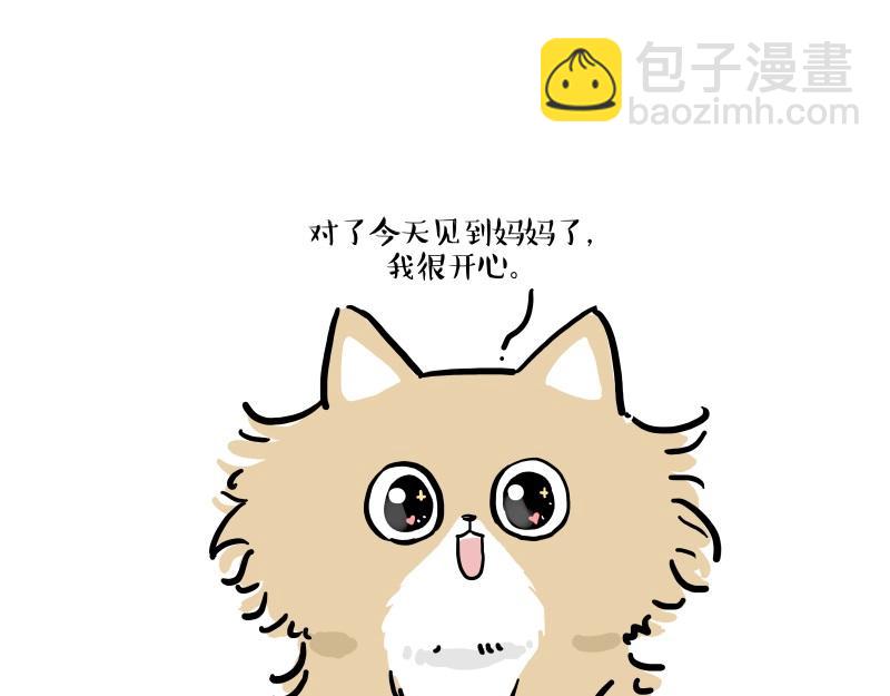 第424话 话痨小猫26