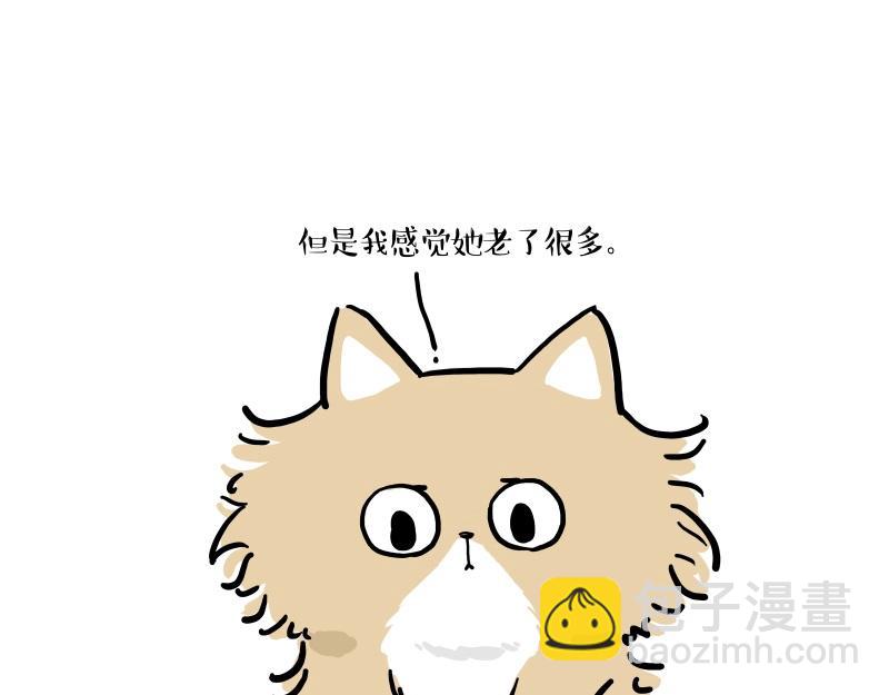 第424话 话痨小猫28