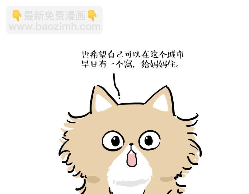 第424话 话痨小猫32