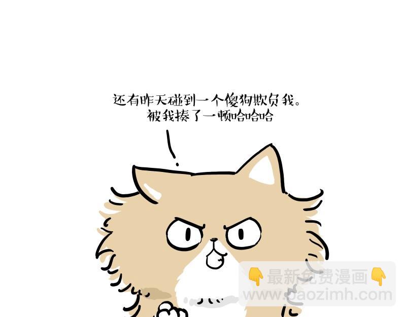 第424话 话痨小猫34
