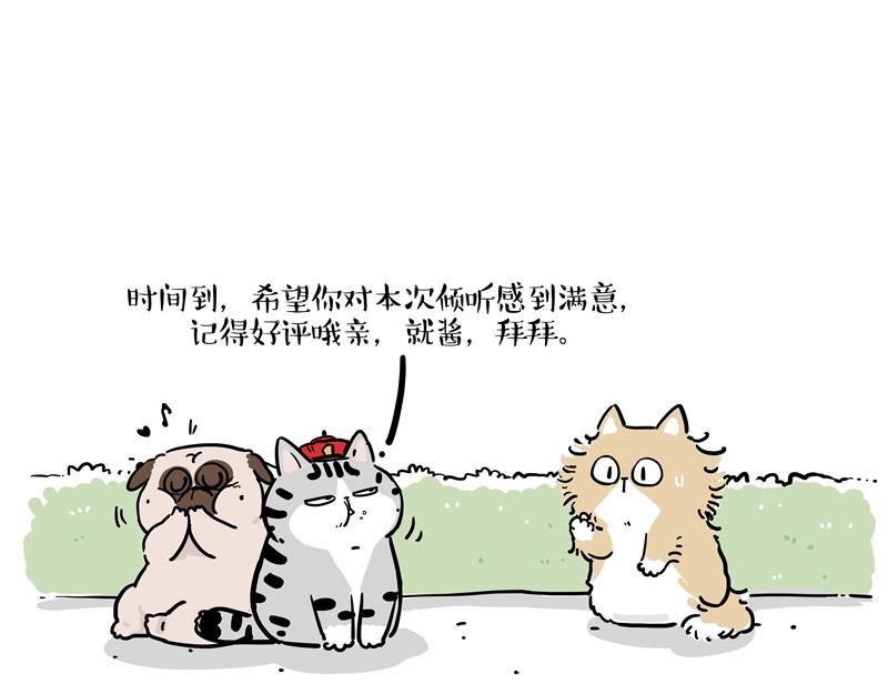 第424话 话痨小猫36