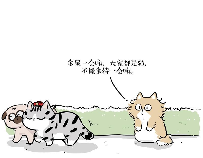 第424话 话痨小猫38