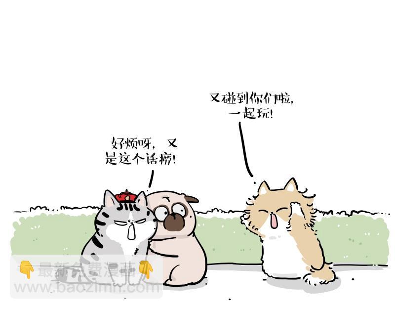 第424话 话痨小猫4