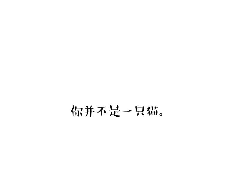 第424话 话痨小猫44