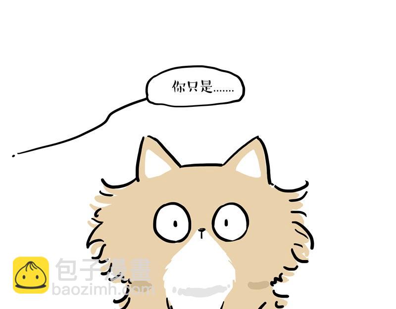 第424话 话痨小猫46