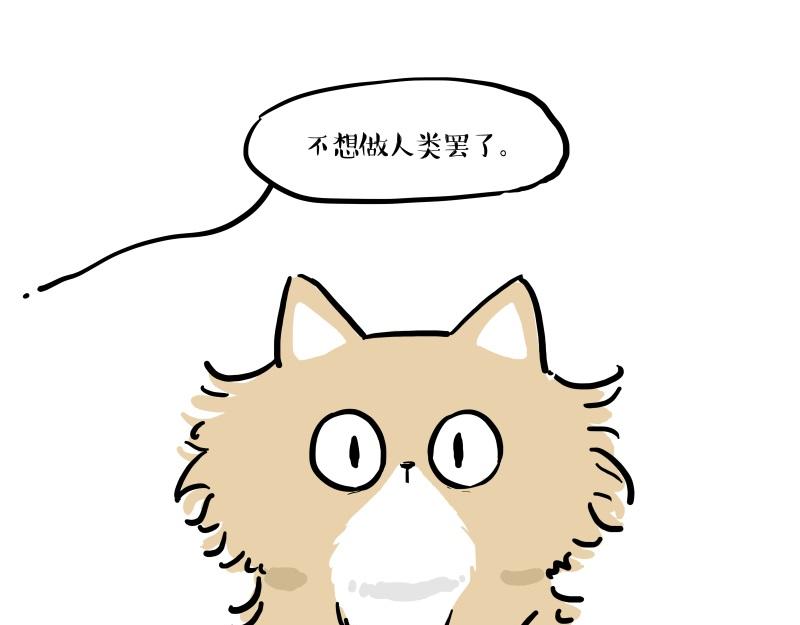 第424话 话痨小猫52