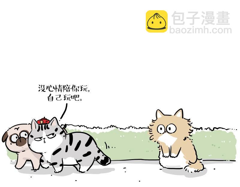 第424话 话痨小猫6