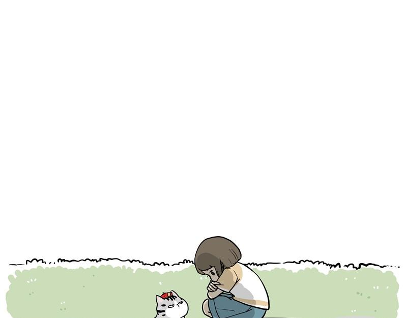 第424话 话痨小猫60