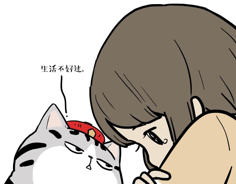 第424话 话痨小猫62