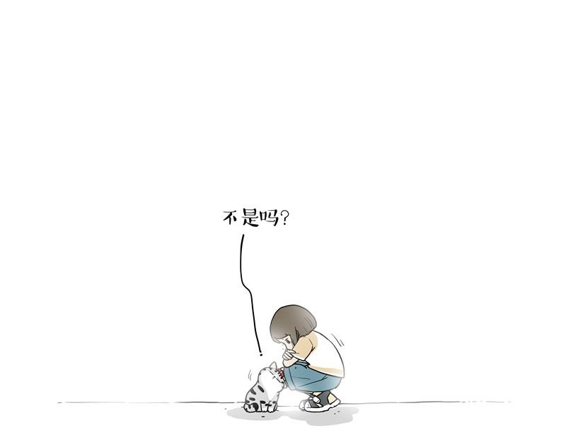 第424话 话痨小猫66