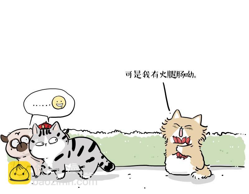 第424话 话痨小猫8