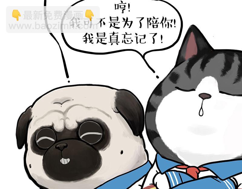 第428话 忘带了12