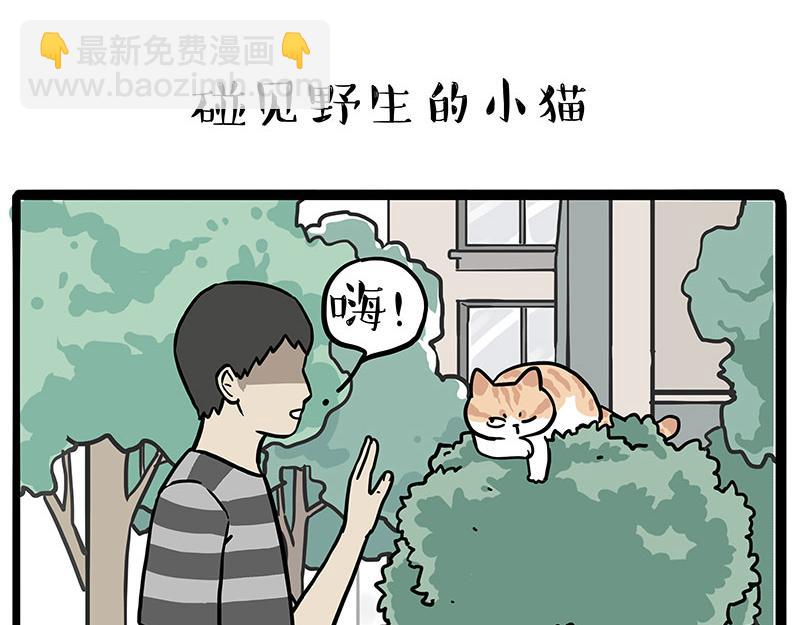 第429话 偷感14