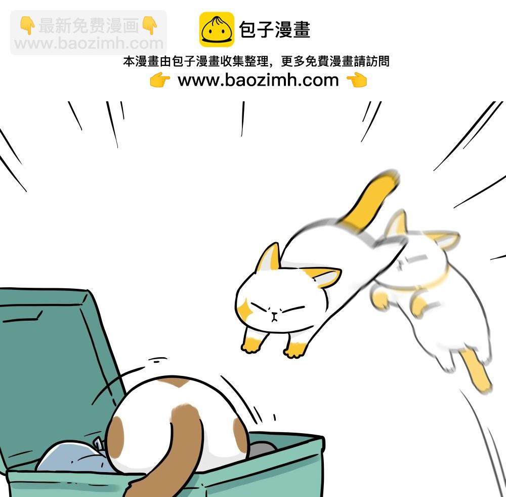 第431话 老大和老大？16