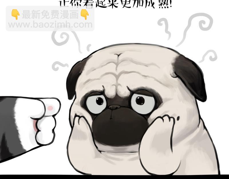 第431话 老大和老大？30