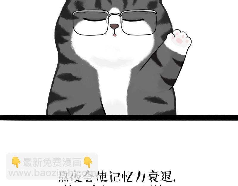 第431话 老大和老大？36
