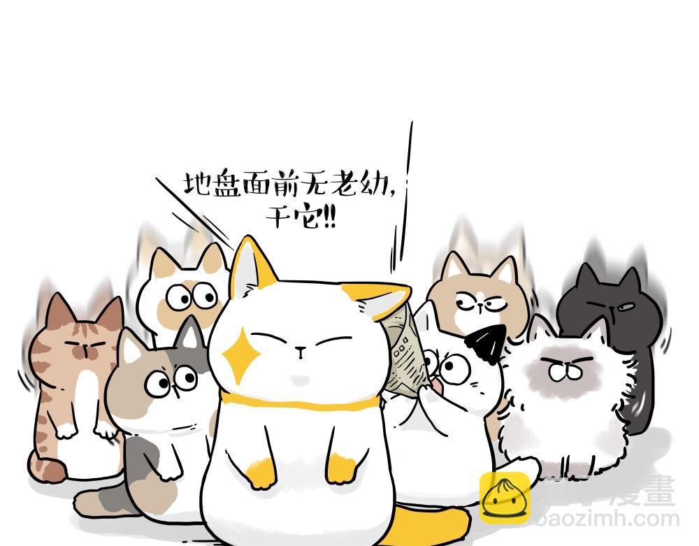 第431话 老大和老大？4