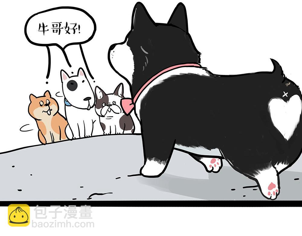 第438话 “坏心”办好事23
