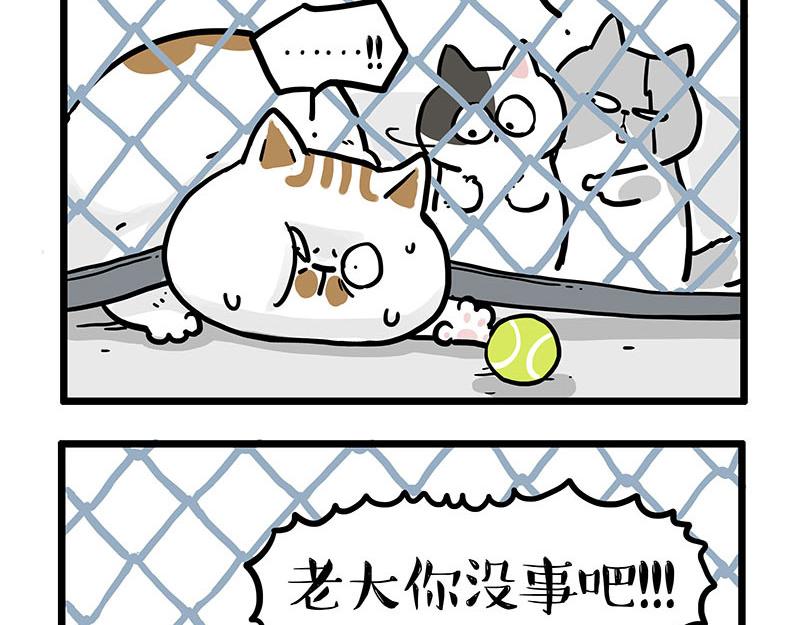 第439话 老大倒下了！10