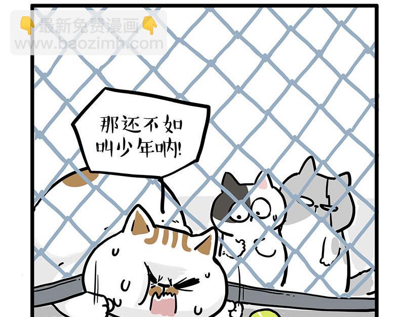 第439话 老大倒下了！17