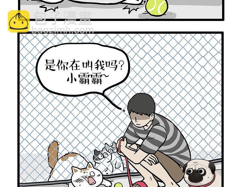 第439话 老大倒下了！18