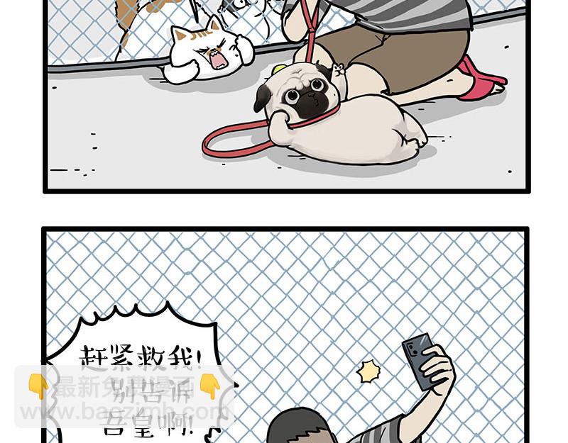 第439话 老大倒下了！20