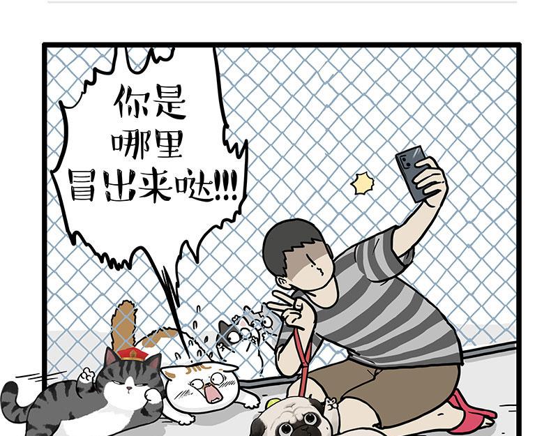 第439话 老大倒下了！22