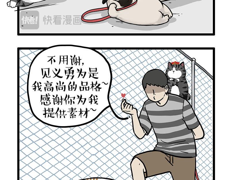 第439话 老大倒下了！23