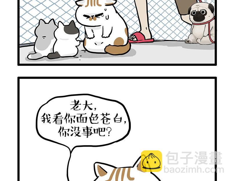 第439话 老大倒下了！24