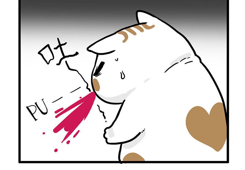 第439话 老大倒下了！27